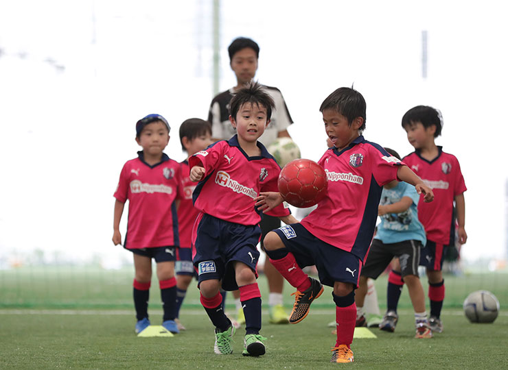 スクール概要 子どものサッカースクール セレッソ大阪スポーツクラブ公式サイト